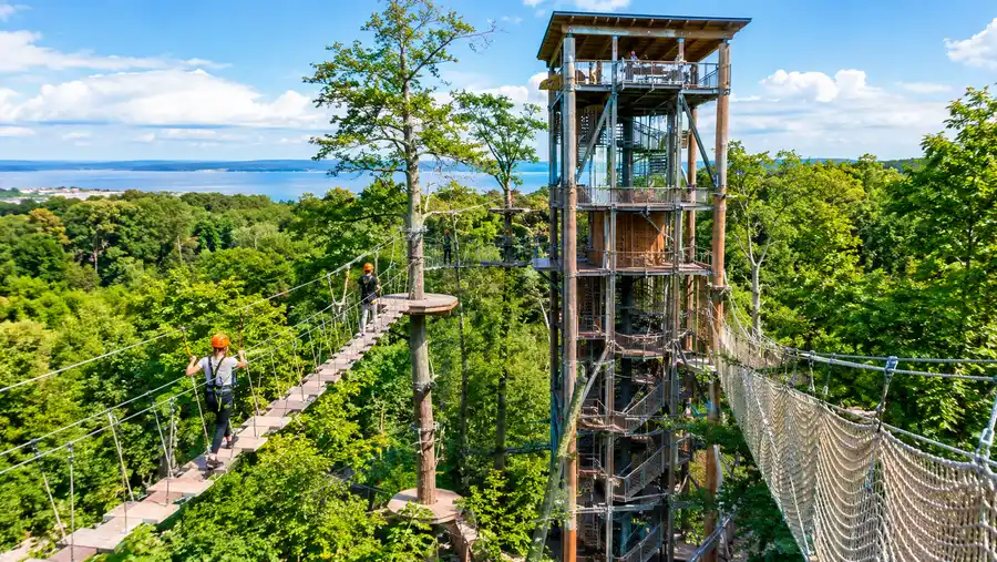 Camp Adventure Climbing Park: Denmark's Largest Treetop Course