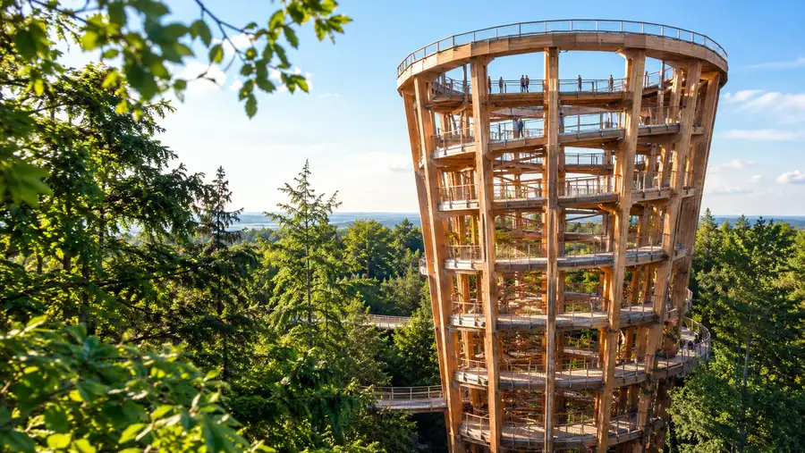Forest Tower Address and How to Find Camp Adventure