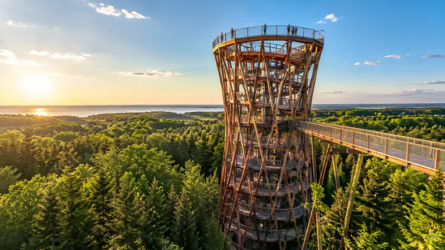 Forest Tower Address and How to Find Camp Adventure
