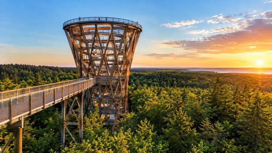 Forest Tower Tickets, Prices and Opening Hours