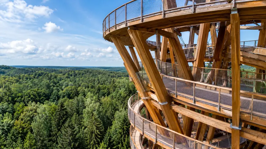 How Tall Is the Forest Tower? Height, Design and Architecture