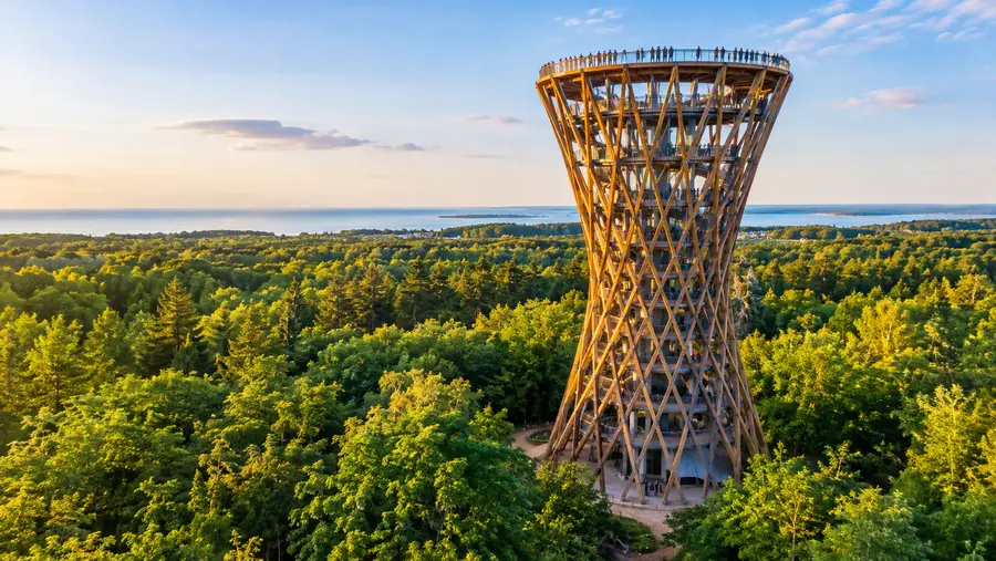 How Tall Is the Forest Tower? Height, Design and Architecture