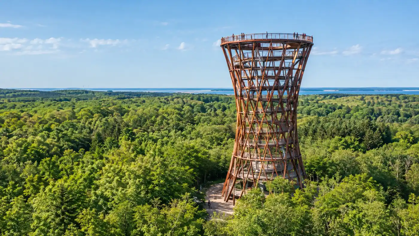 How Tall Is the Forest Tower? Height, Design and Architecture