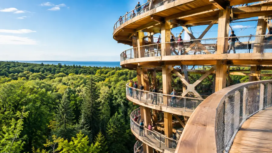 How to Visit Forest Tower from Copenhagen