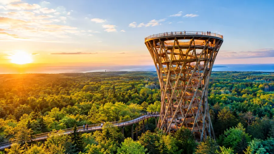How to Visit Forest Tower from Copenhagen